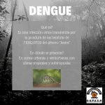 Dengue 1